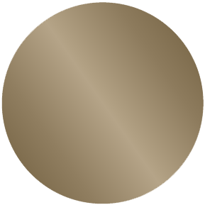875 C Bronze palette PANTONE ® Solid Coated