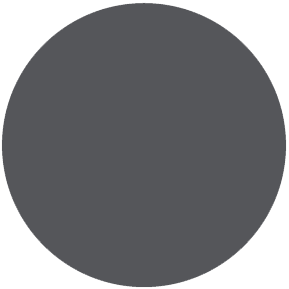 Cool Gray 11 C palette PANTONE ® Solid Coated
