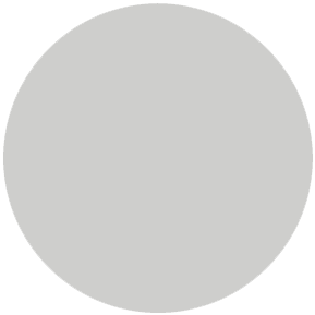 Cool Gray 2 C palette PANTONE ® Solid Coated