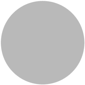 Cool Gray 4 C palette PANTONE ® Solid Coated